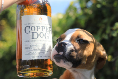 Copper Dog Scotch Whiskey 750ml